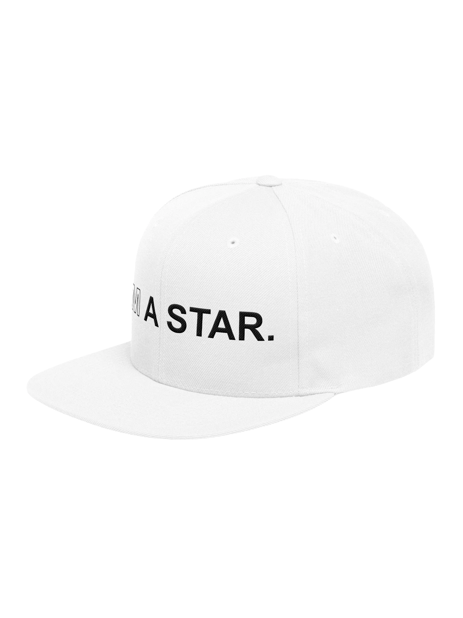Ten Year Anniversary Cap product image (3)