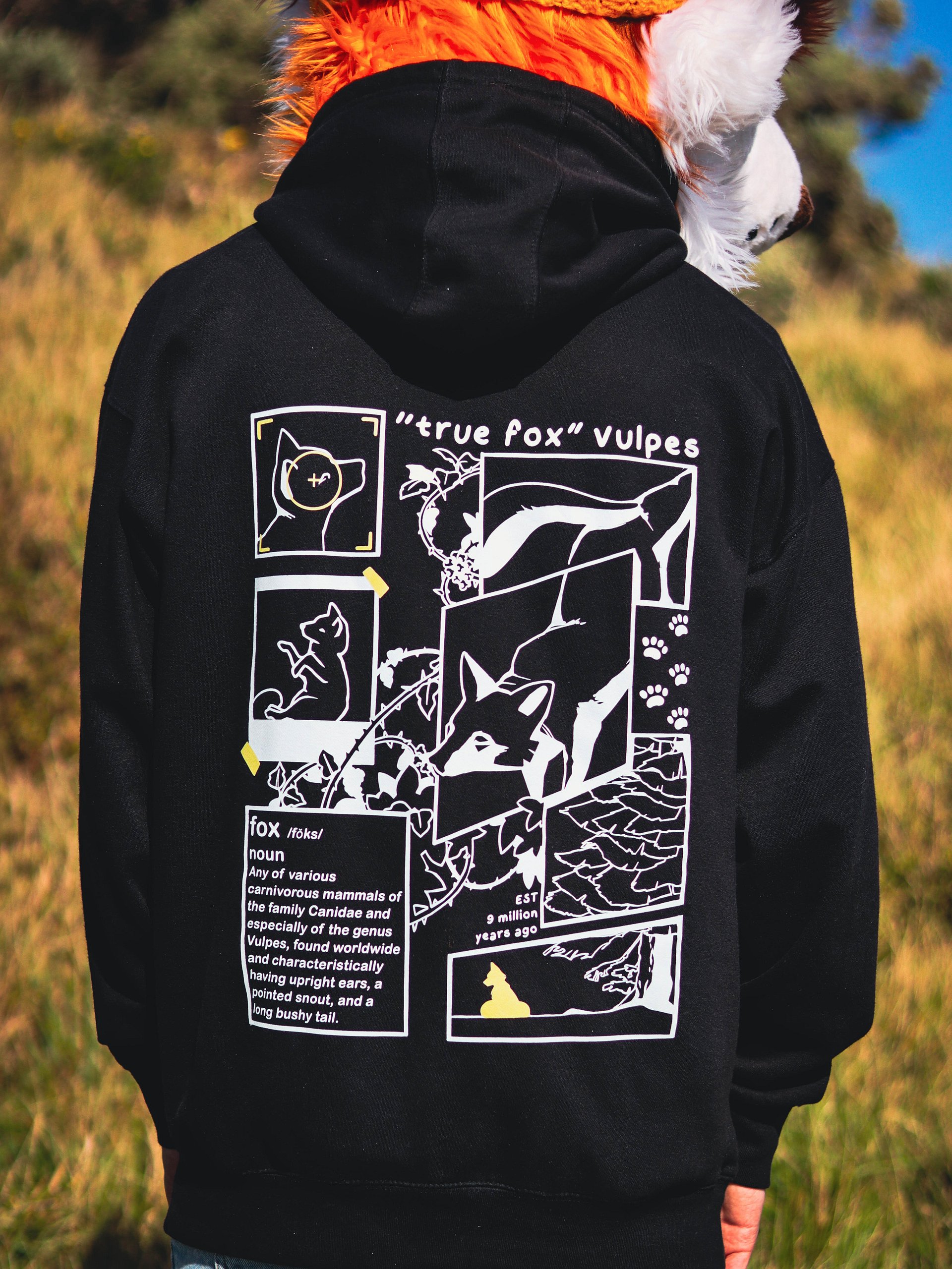 True Fox Hoodie product image (8)