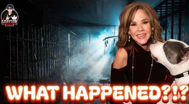 Were you surprised to see Linda Blair in the news for this? Watch our latest video on Youtube and Comment Below! Link in the Bio or Search Grayson Report on YT! #theexorcist, #lindablair, #animalrescue, #horrortok, #horrornews, 