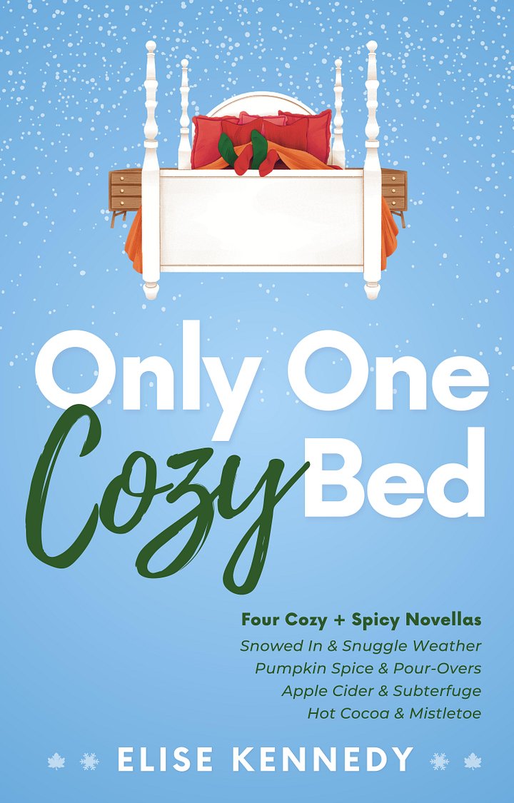 Only One Cozy Bed (eBook) product image (1)