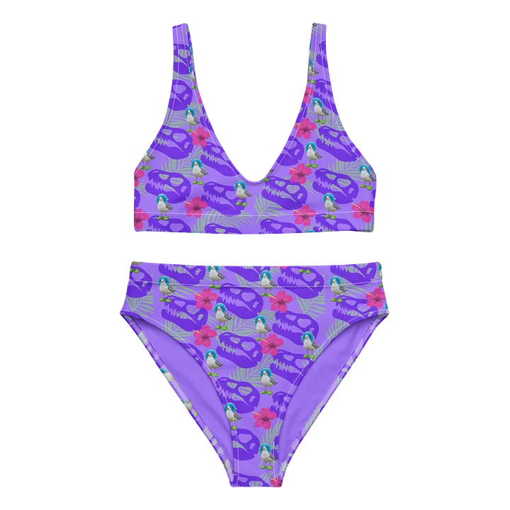 Hot Gull Summer High Waisted Bikini product image (1)