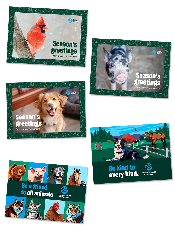 Holiday and Greeting card bundle product image (1)