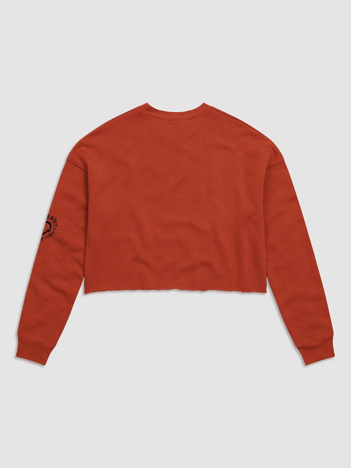 .strife OJARS LOGO CROP TOP SWEATER product image (2)