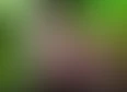 DEATH BATTLE Season 7's tag thumbnail