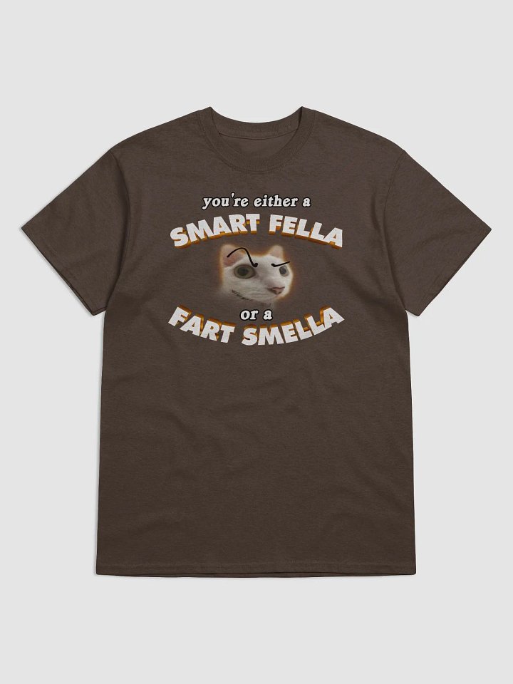 You're either a smart fella or a fart smella T-shirt product image (1)