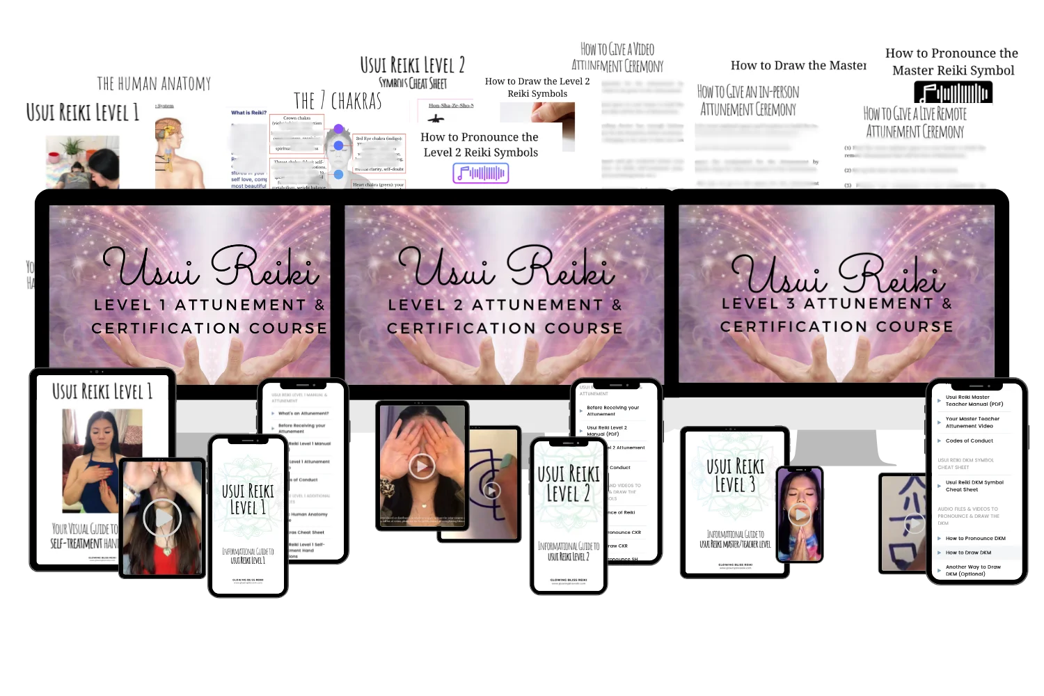 Certified Usui Reiki Discounted Bundle product image (1)