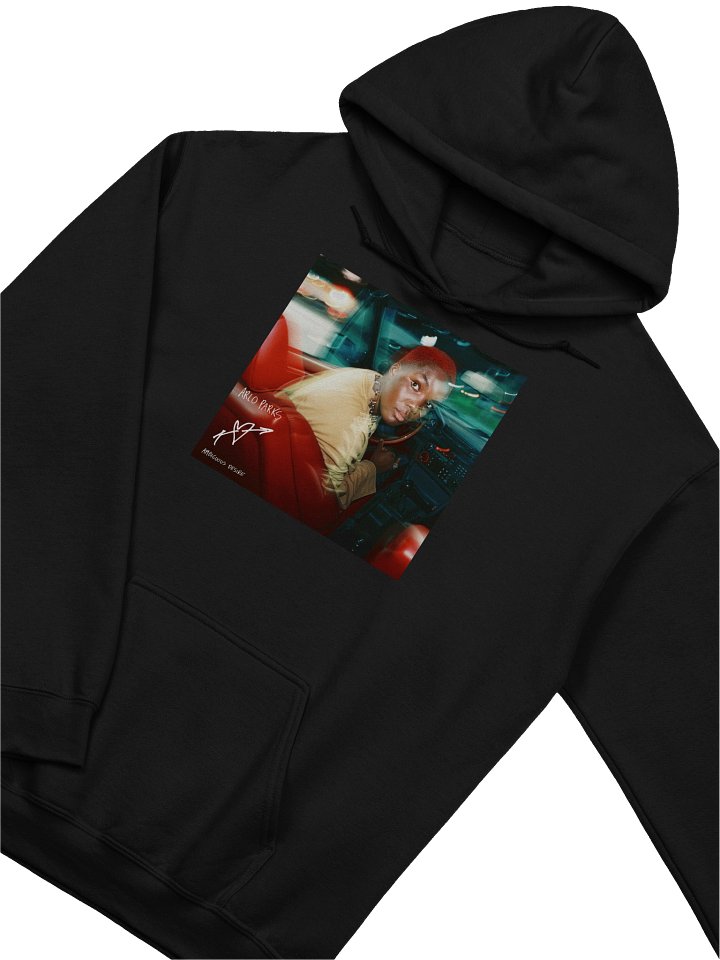 Ambiguous Desire Arlo Parks Hoodie product image (2)
