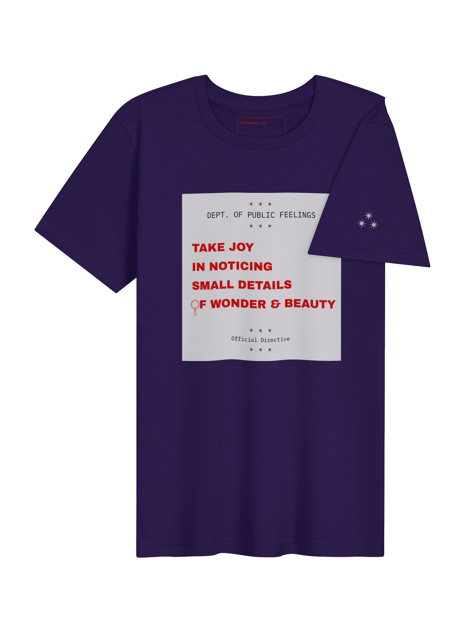 Take Joy in Noticing Small Details of Beauty and Wonder Tee product image (16)