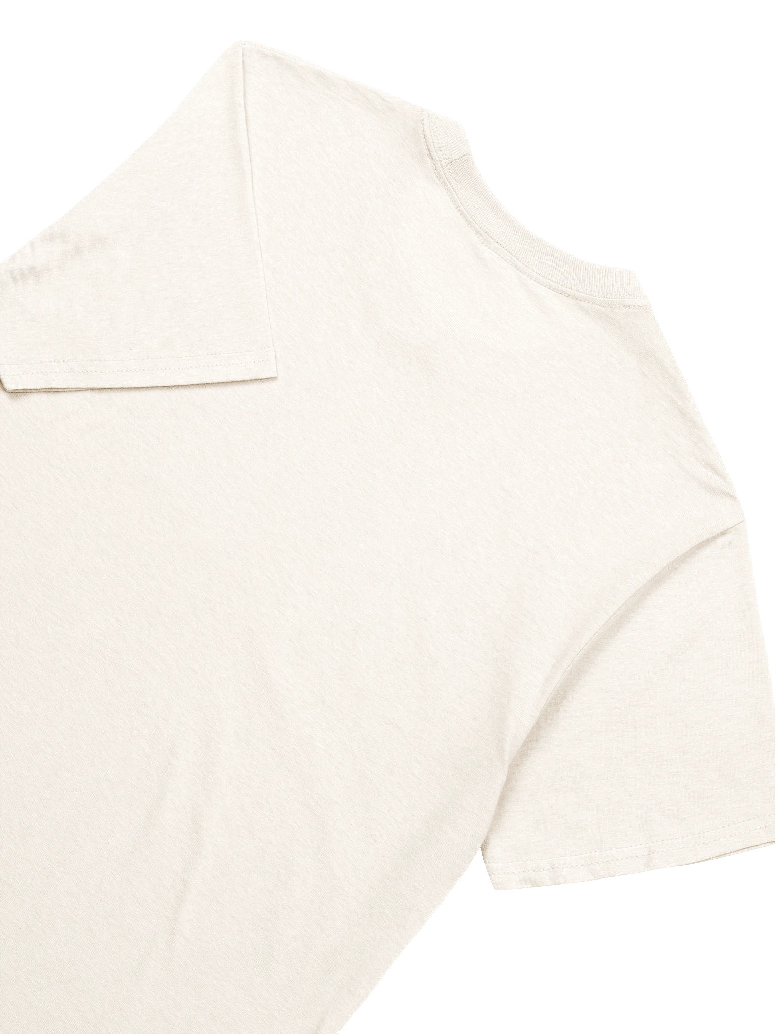 Spaghetti Is Served | Gildan Unisex T-Shirt product image (204)