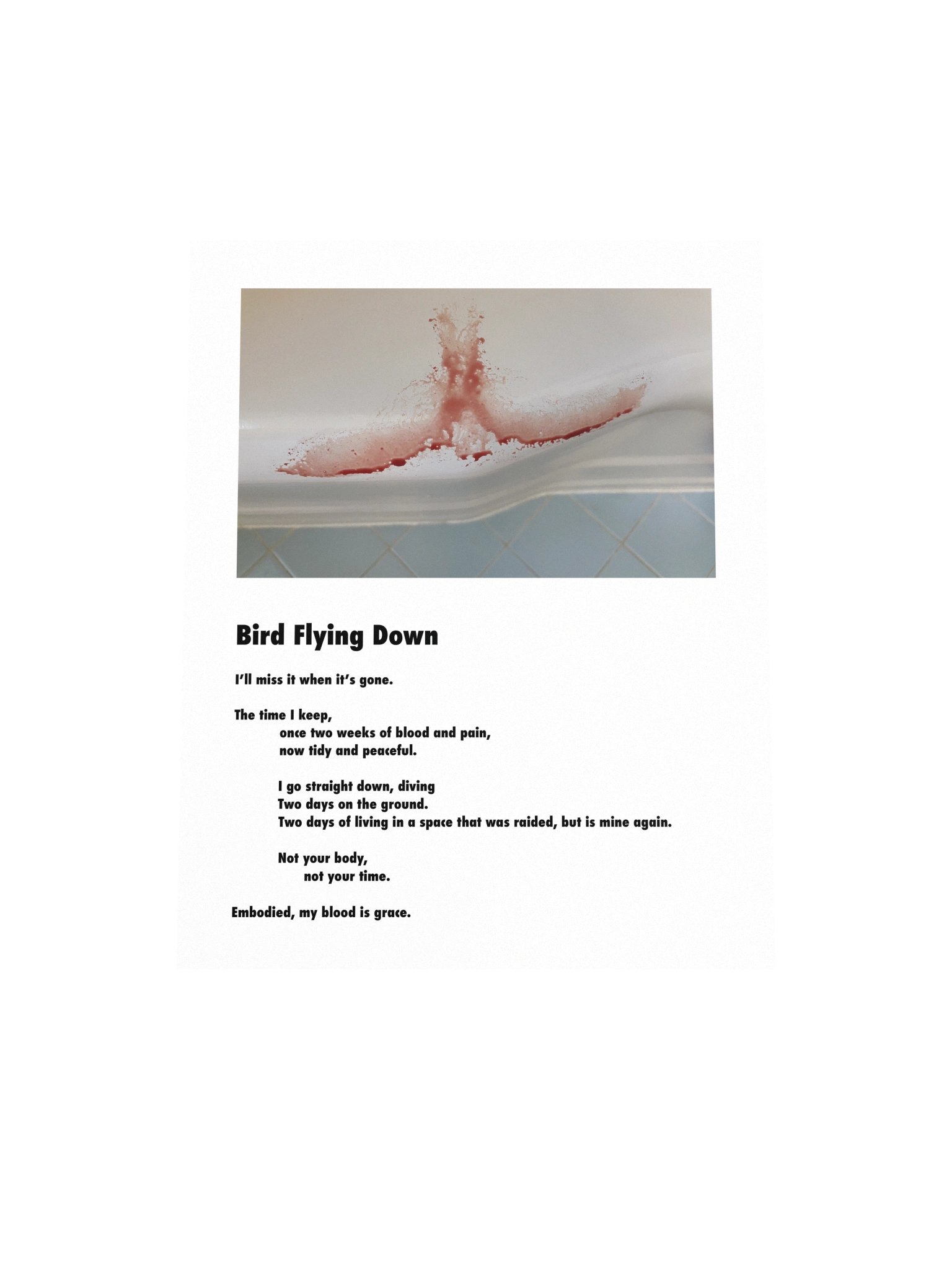 Bird Flying Down Poster product image (4)