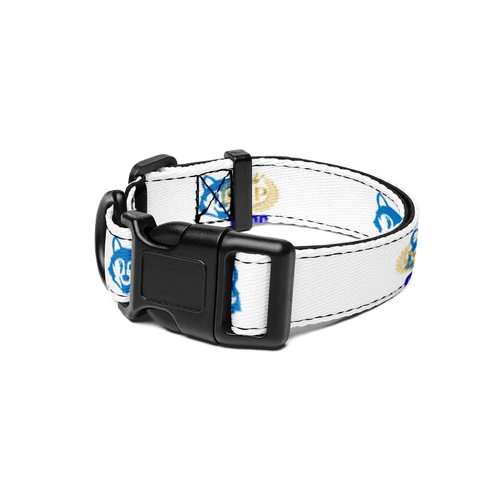 Dog Collar product image (1)