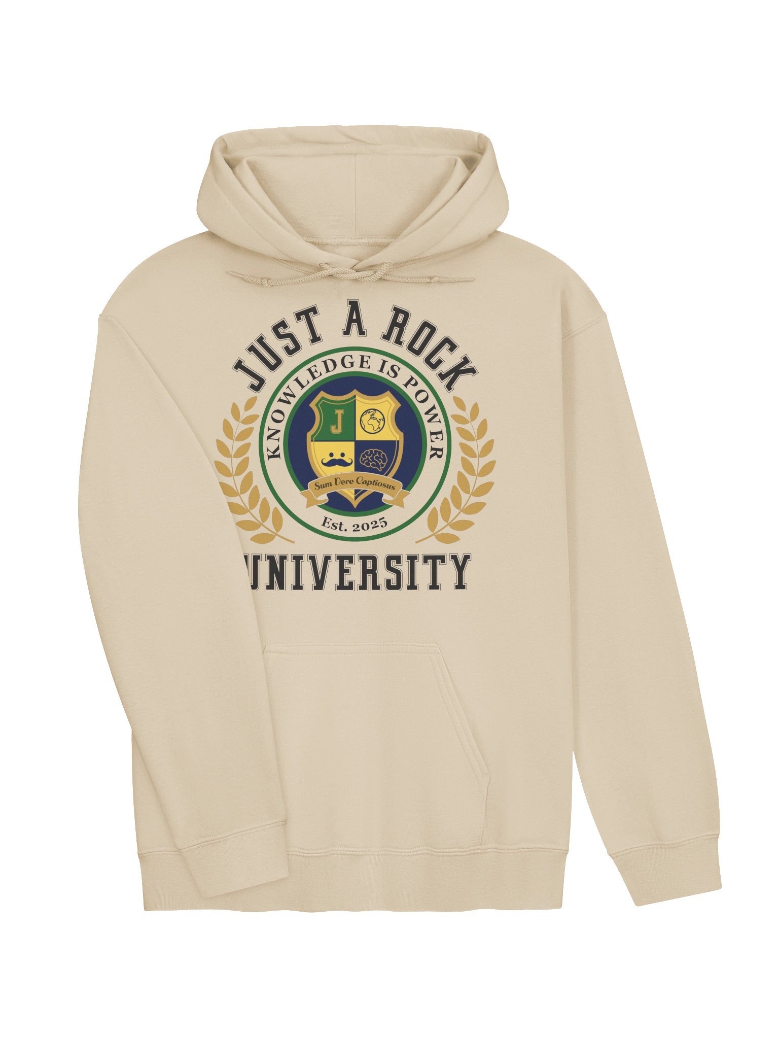Just a Rock University Hoodie product image (3)