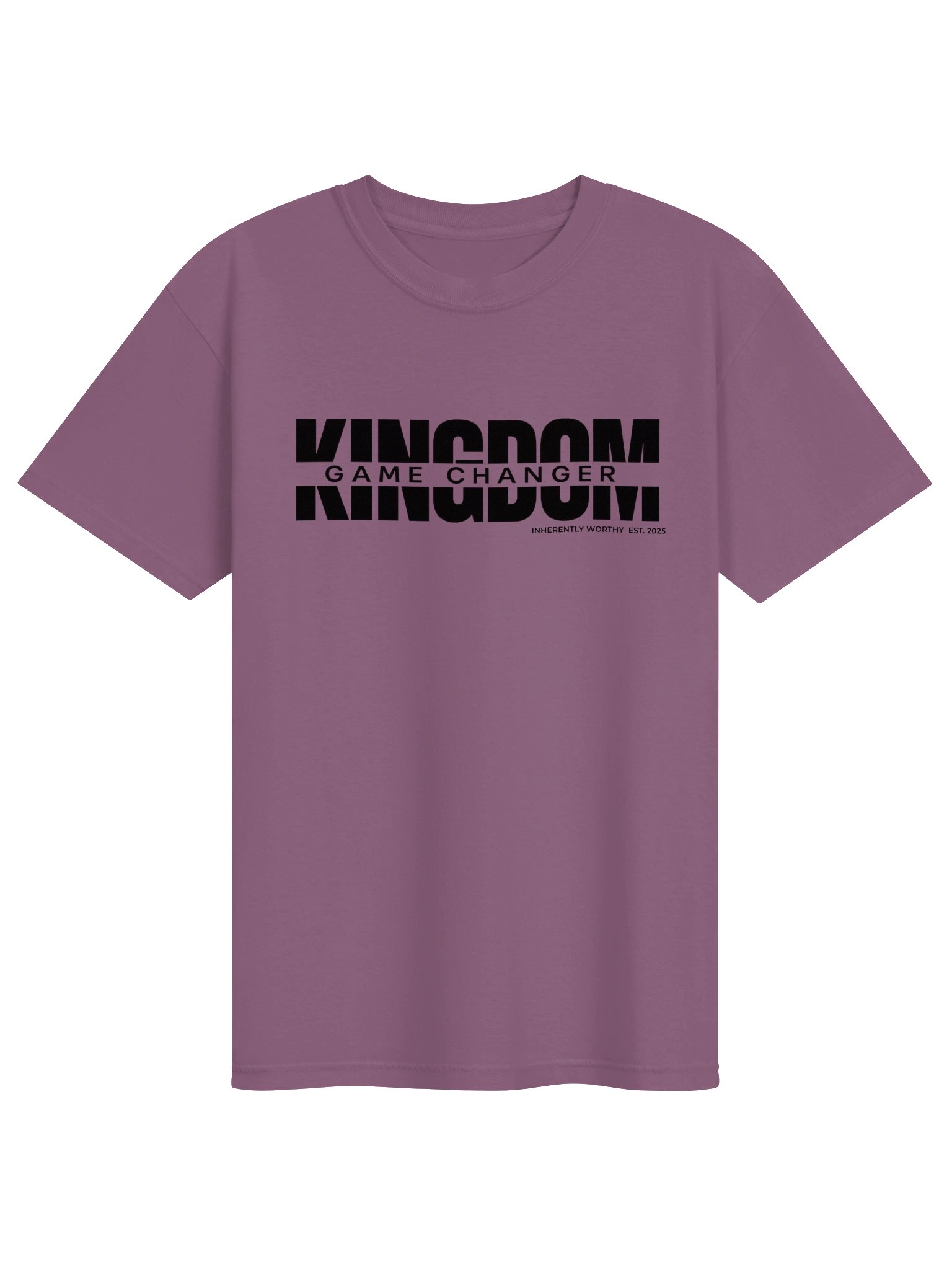 KINGDOM GAME CHANGER™ Signature Tee product image (4)