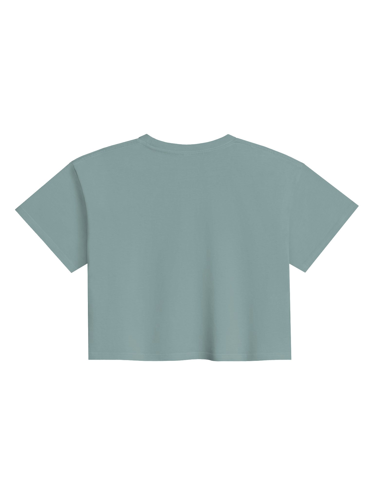 Wake Explorer Decal Logo Croptop product image (15)
