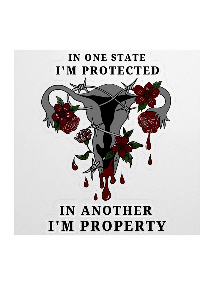 Pro-Choice Uterus Protest Sticker – Protected or Property product image (2)