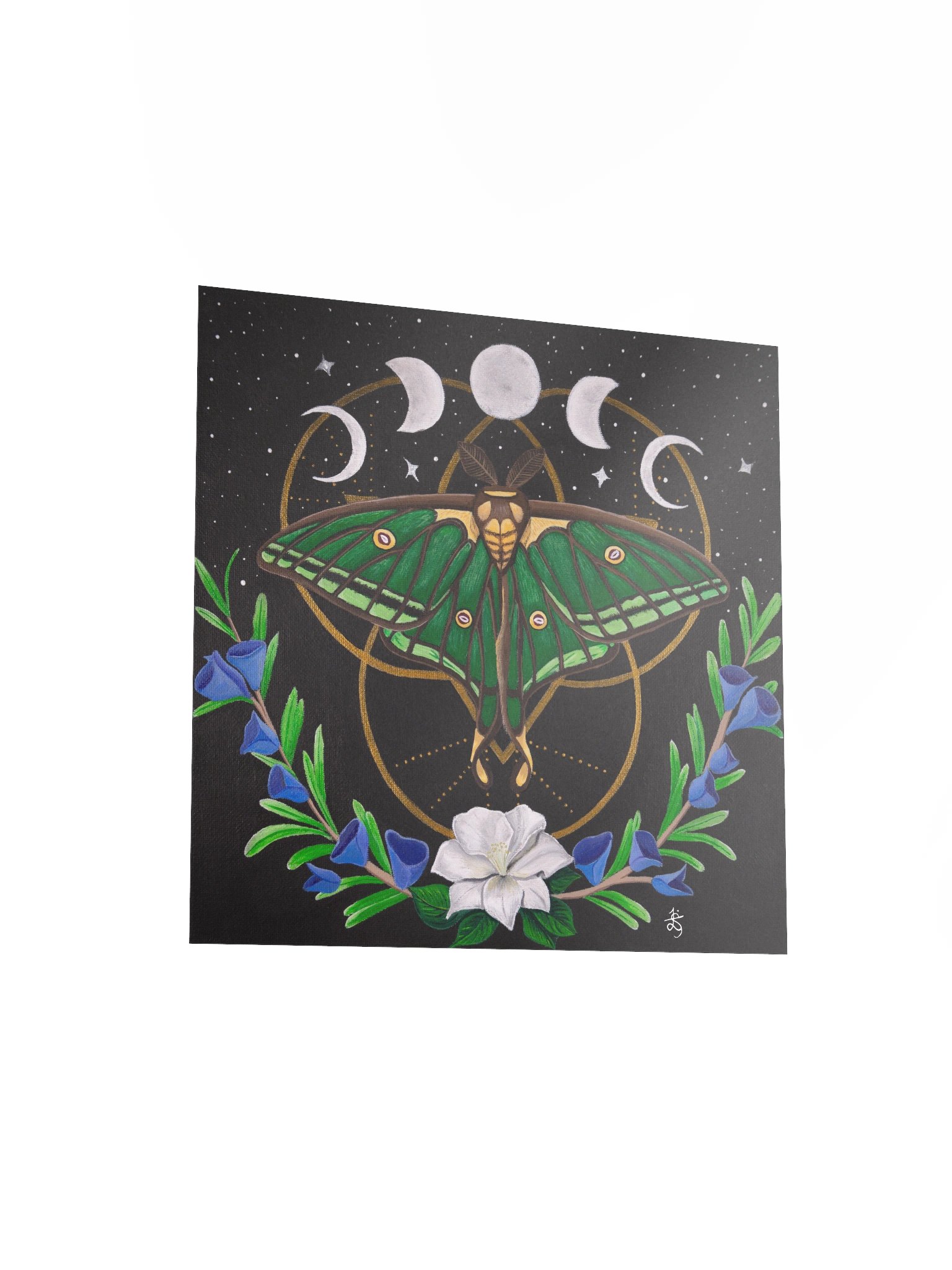 Spanish Moon Moth Original Art Print product image (3)