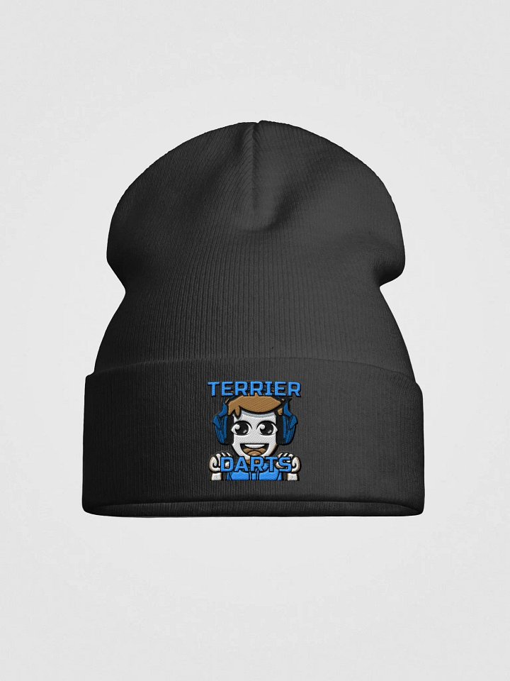 TD Beanie product image (1)