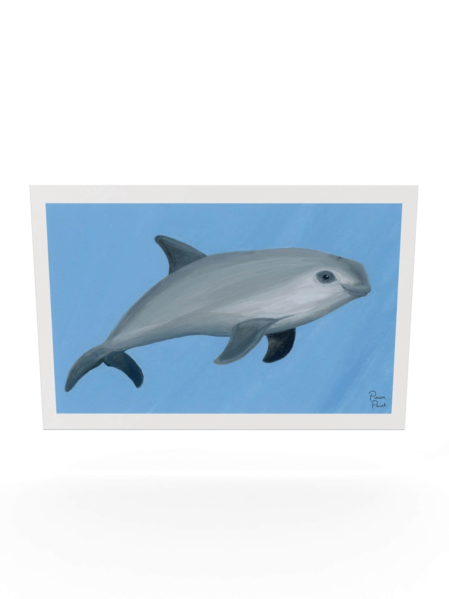 Vaquita print product image (5)