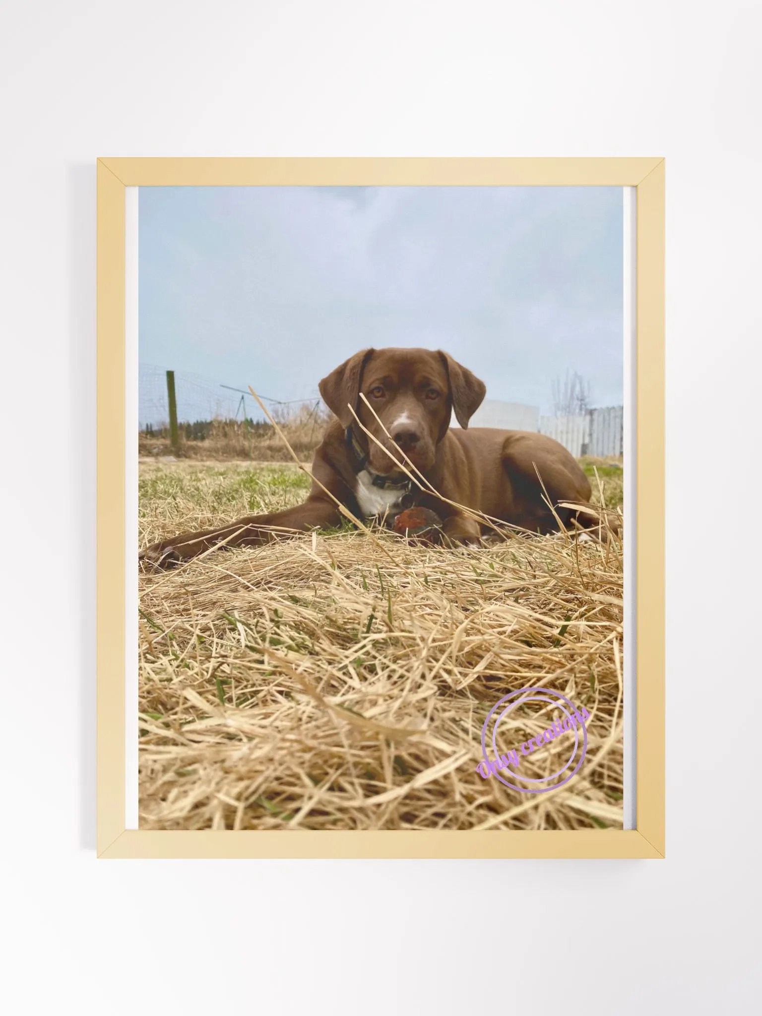 Eevee product image (1)