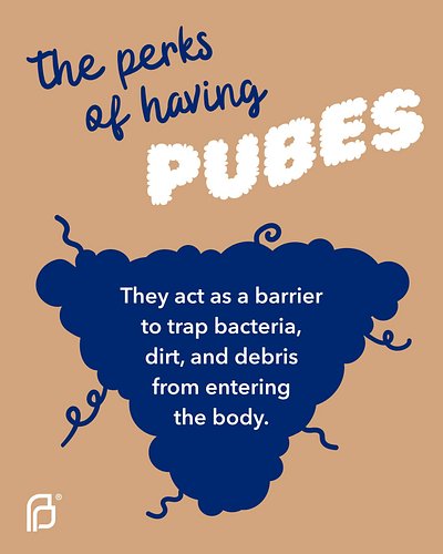 The decision to go bare down there is a personal choice – but before you decide, check out some of the perks of pubes. ➿🪒