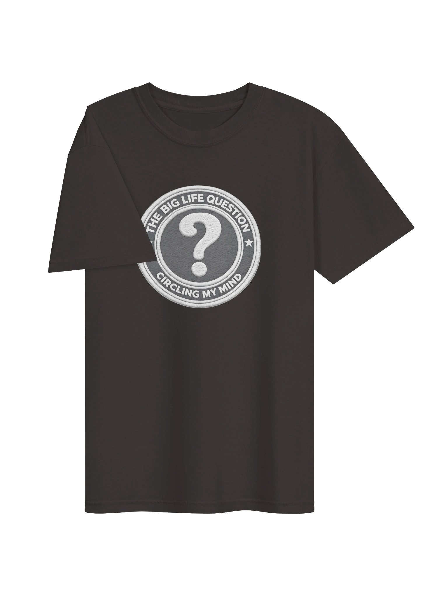 BIG LIFE QUESTION T product image (3)