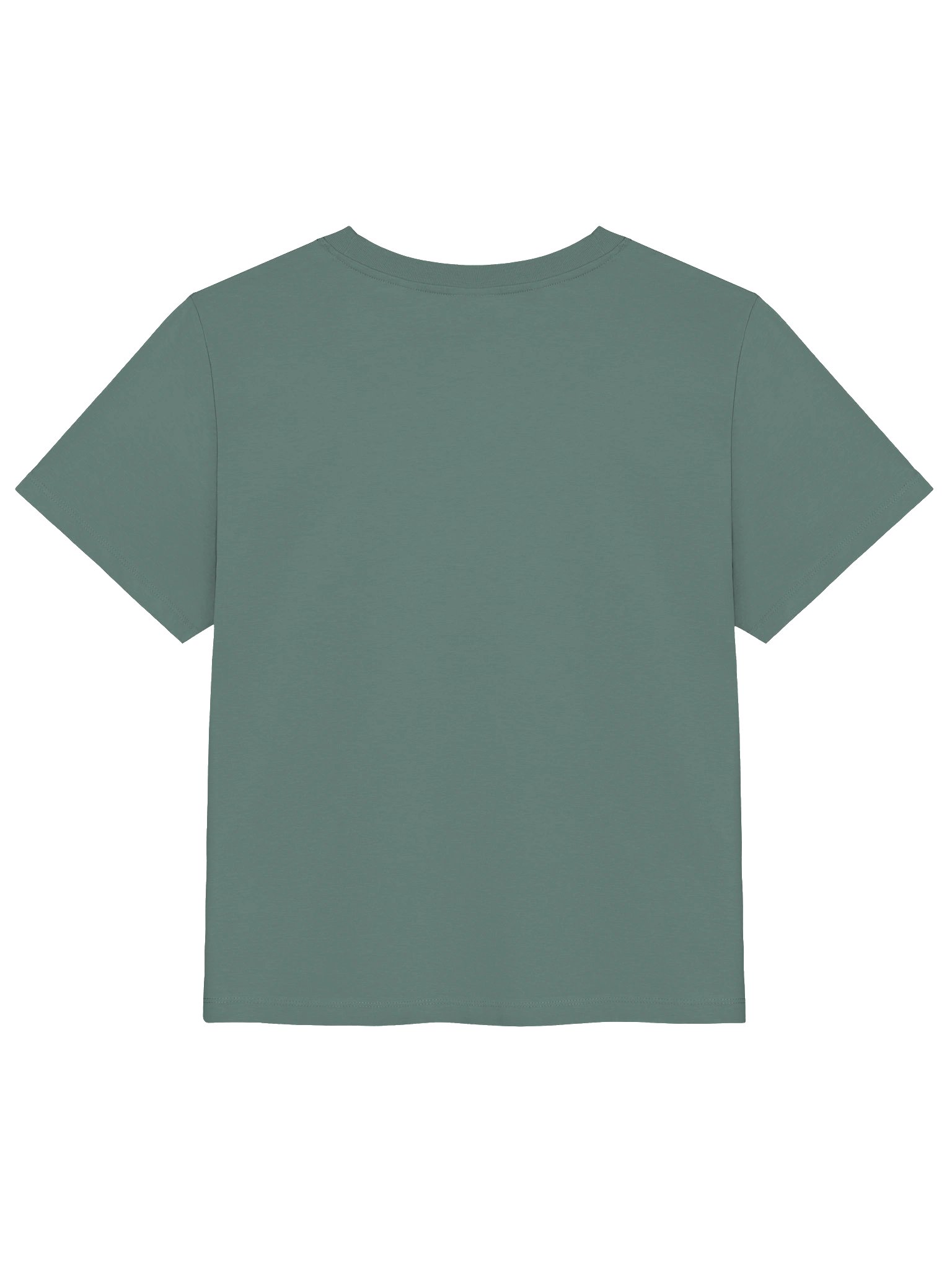 Imagine – Stanley/Stella Women’s Organic Ribbed Neck T-Shirt product image (2)