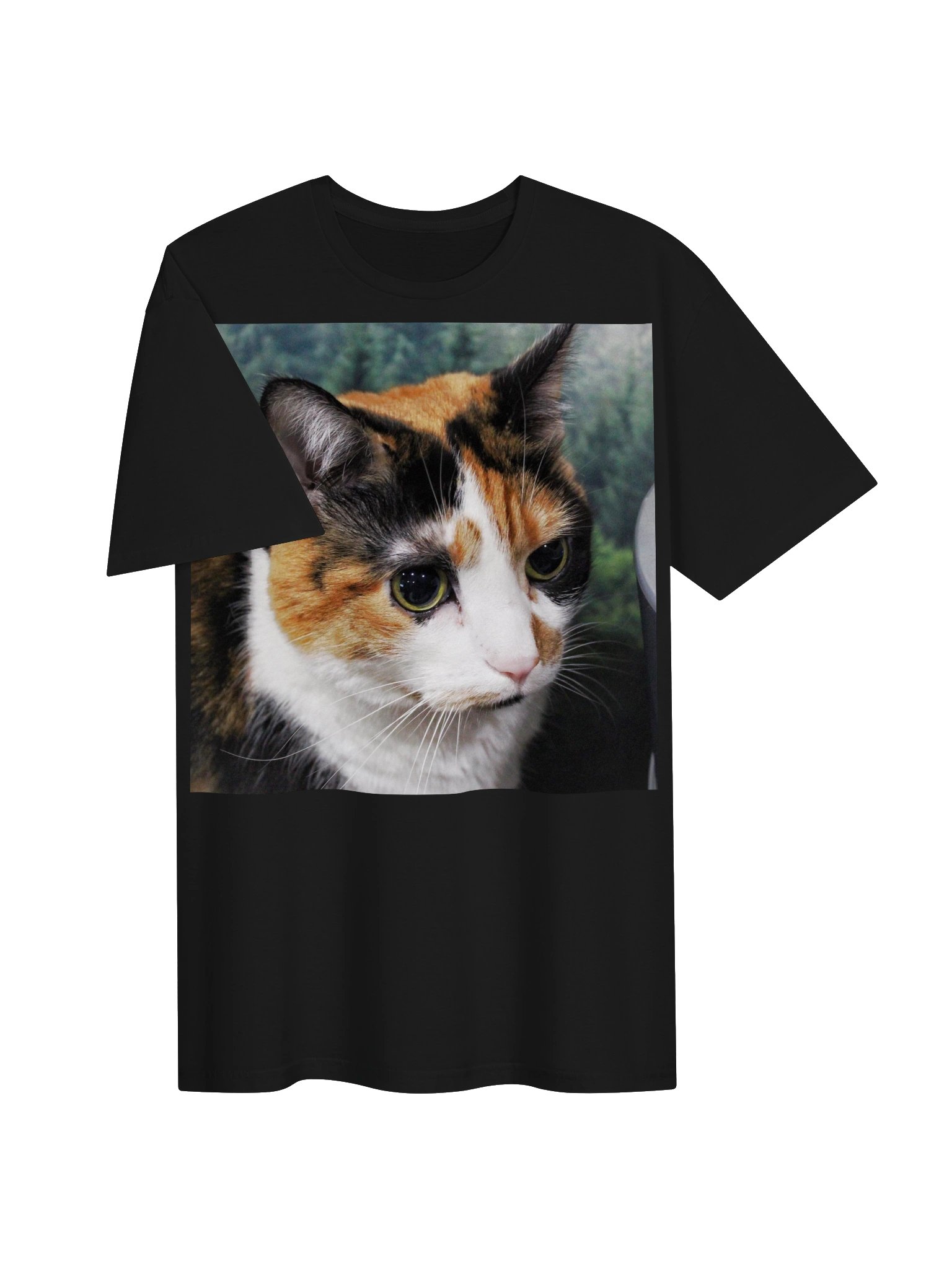 Captain Noodle Shirt product image (3)