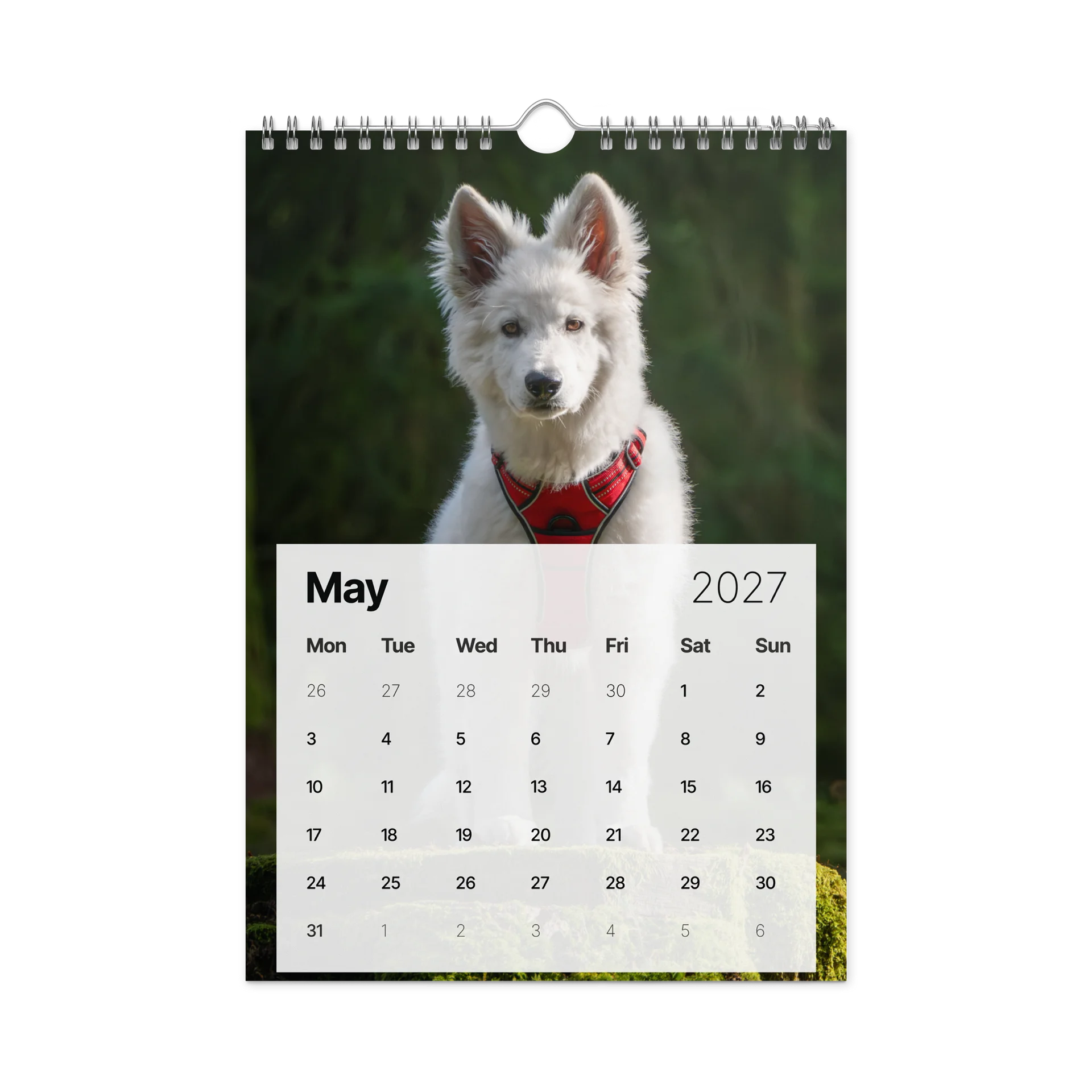 Lil Rasta Calendar 2027 product image (10)