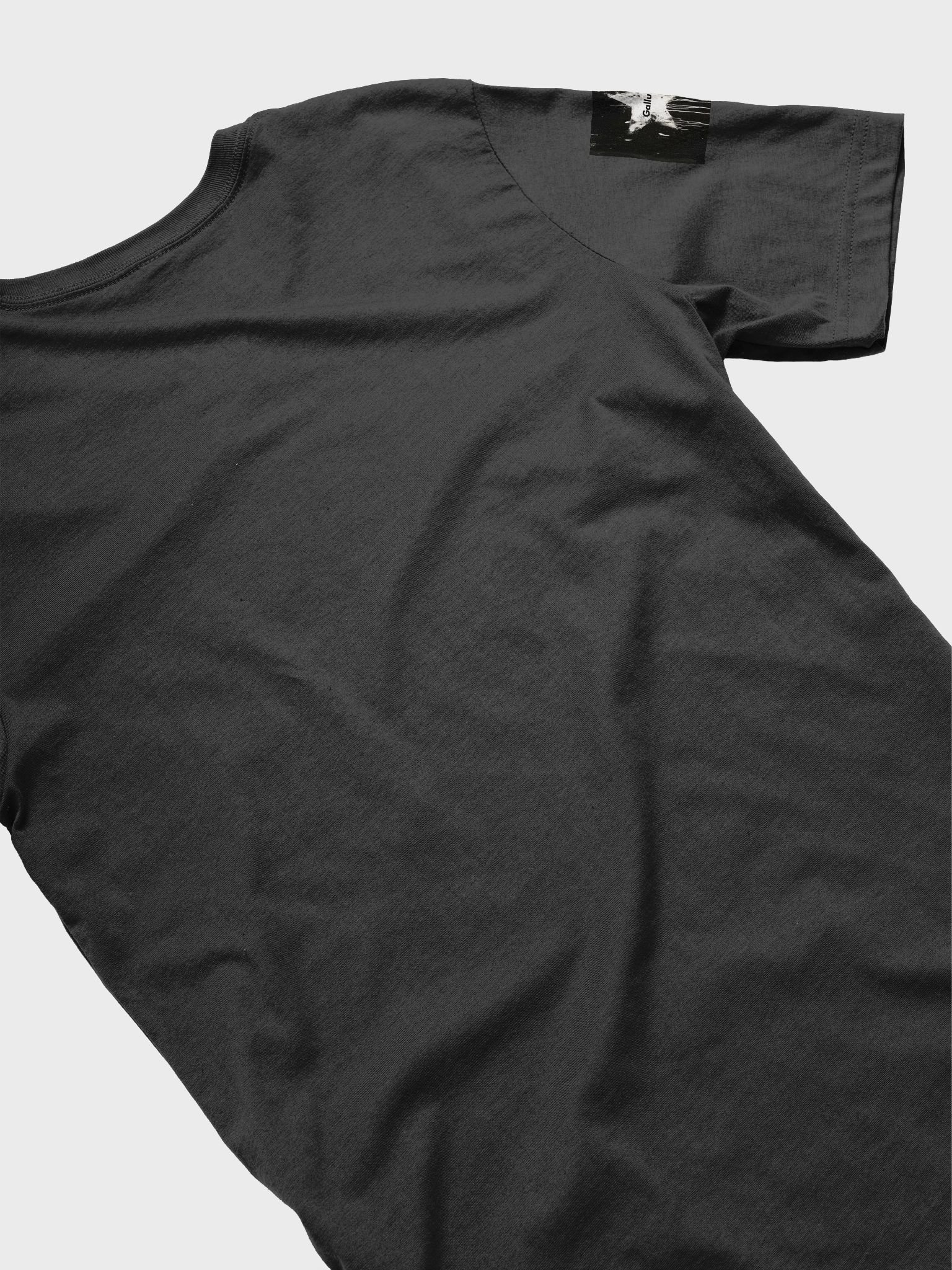 Gallus T-Shirts product image (4)