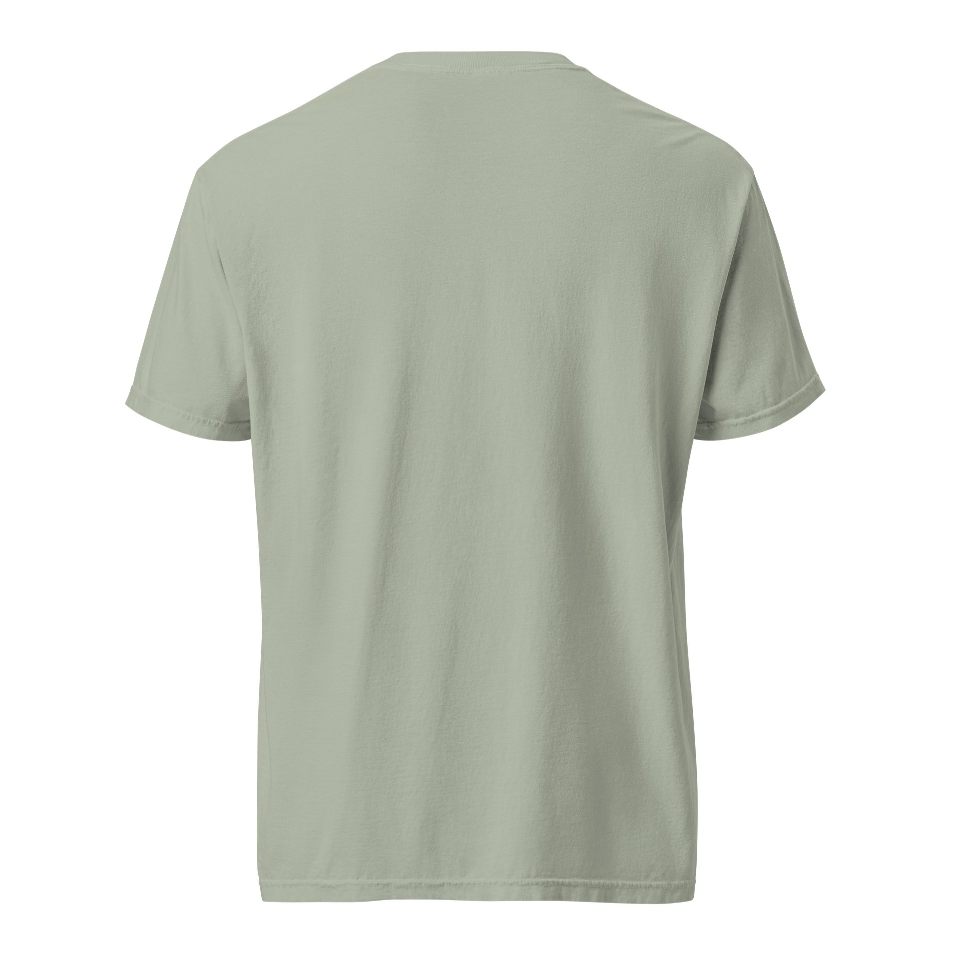 The Tog Squad - Comfort Colors Garment-Dyed Heavyweight T-Shirt product image (4)