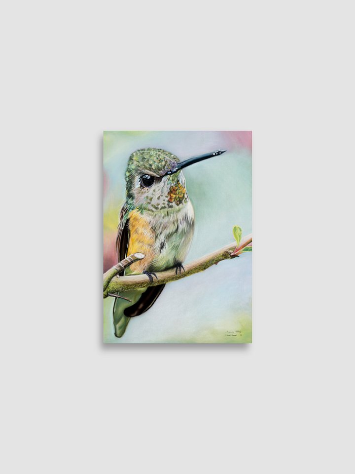 Wilmas Garden ~ Hummingbird Enhanced Matte Paper Poster product image (1)