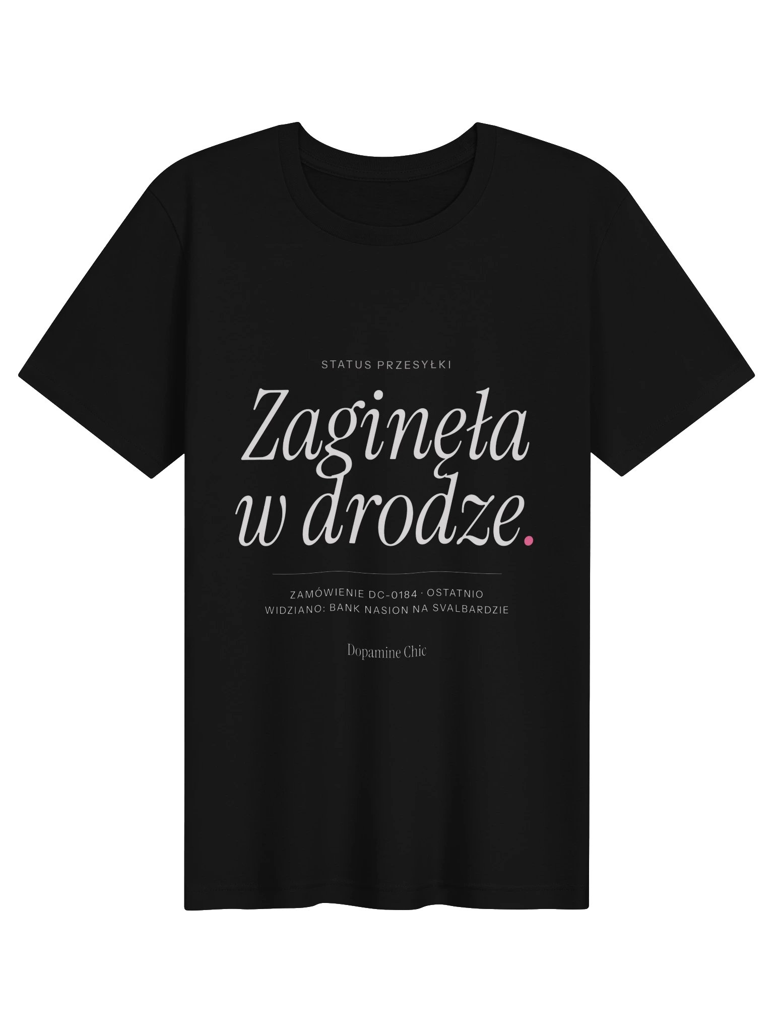 Zaginęła w drodze. product image (1)