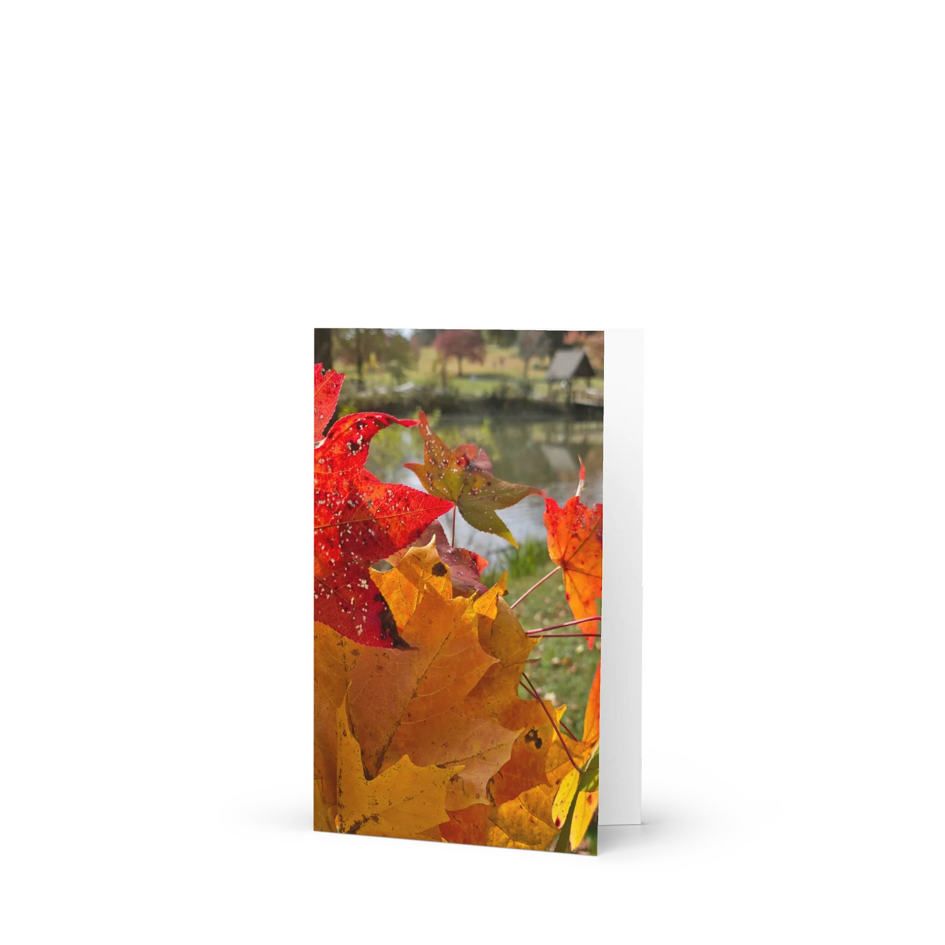 Autumn Bouquet Greeting Card (blank) product image (1)