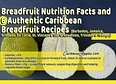Caribbean Recipes's tag thumbnail