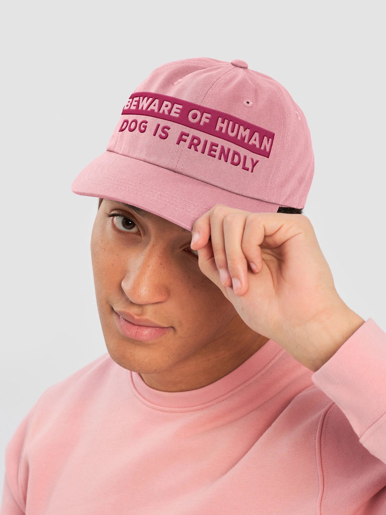 Beware of Human. Dog Is Friendly (Embroidered) Low Contrast (Pink)Classic Dad Hat product image (2)