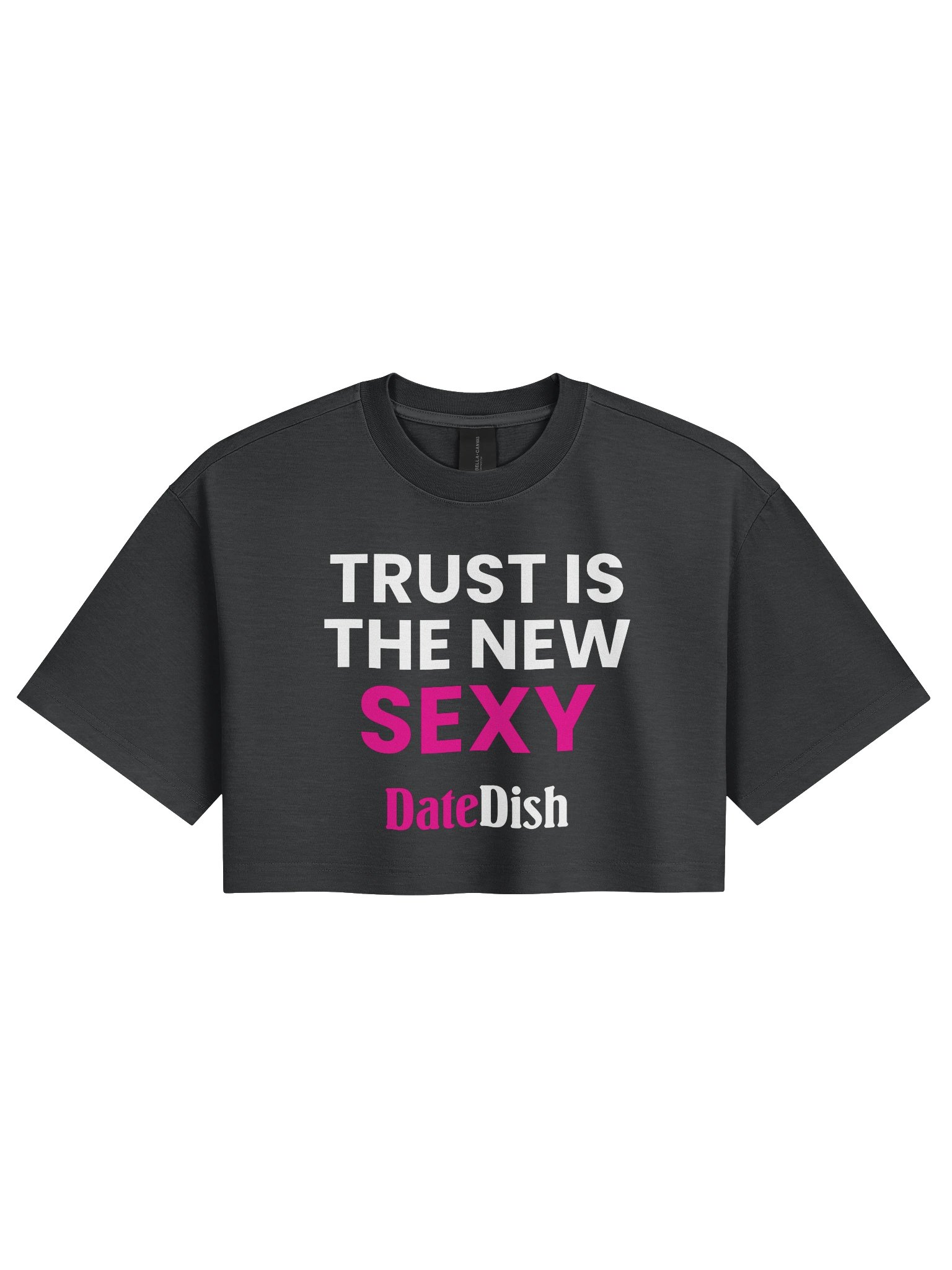 Trust Is the New Sexy Crop Tee product image (1)