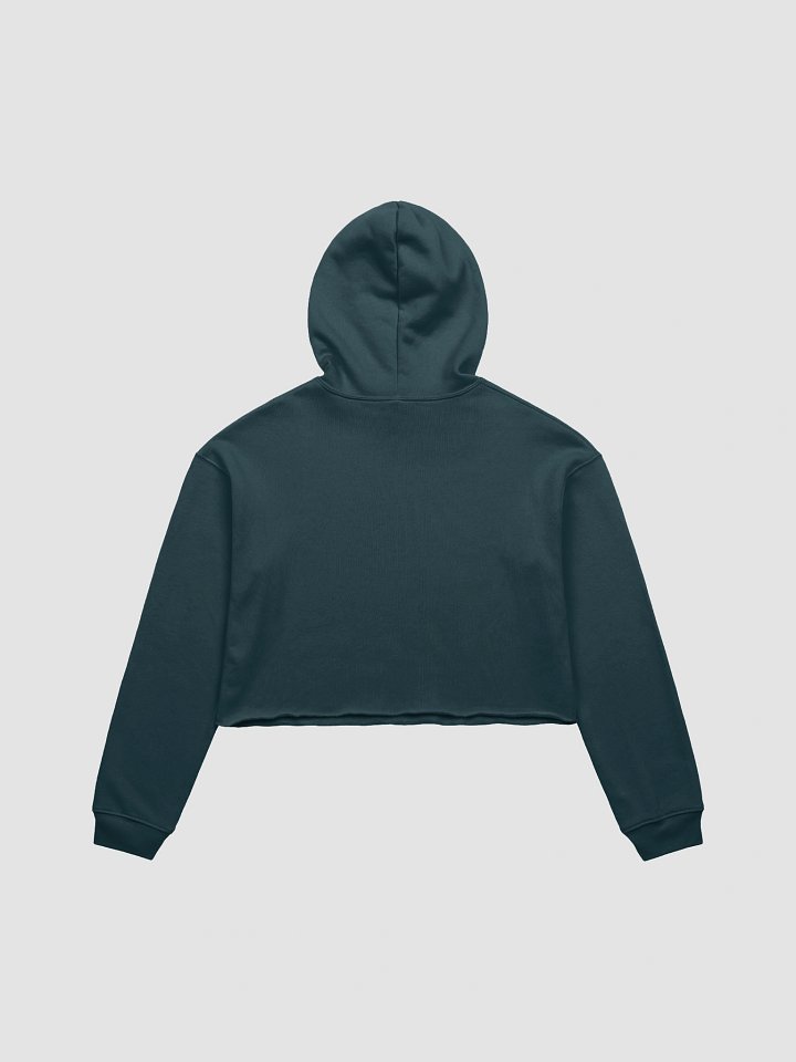 Moth and Crystals Crop Hoodie product image (5)