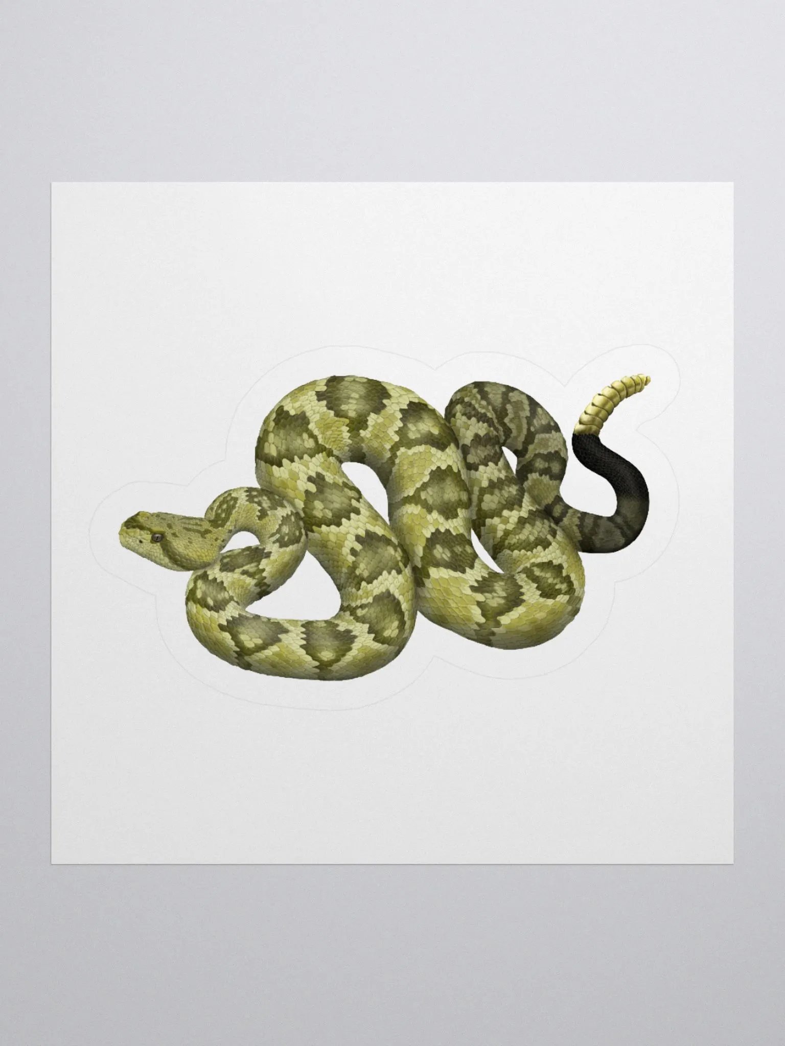 Die-Cut Sticker – Blacktailed Rattlesnake (Desert Phase) product image (1)