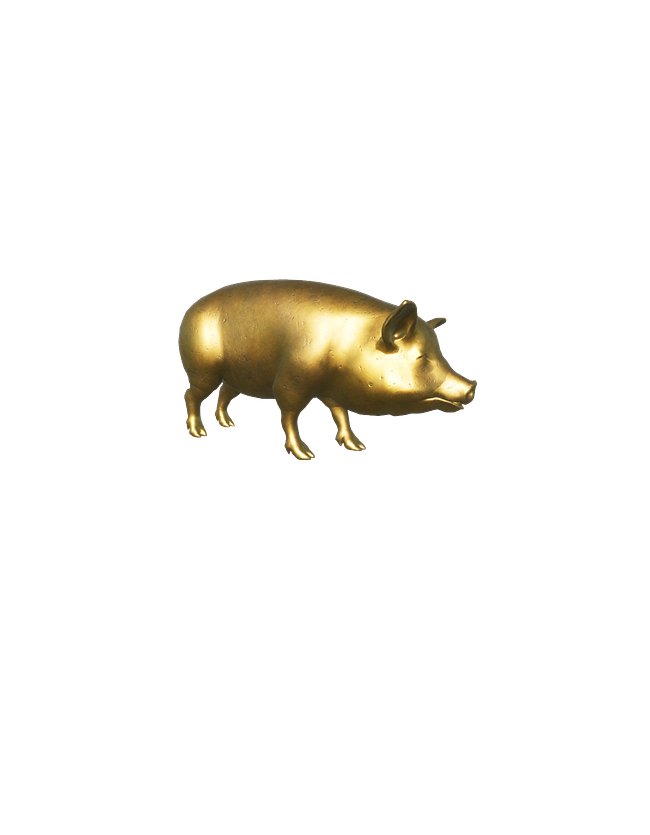 GOLD HAWG Items
