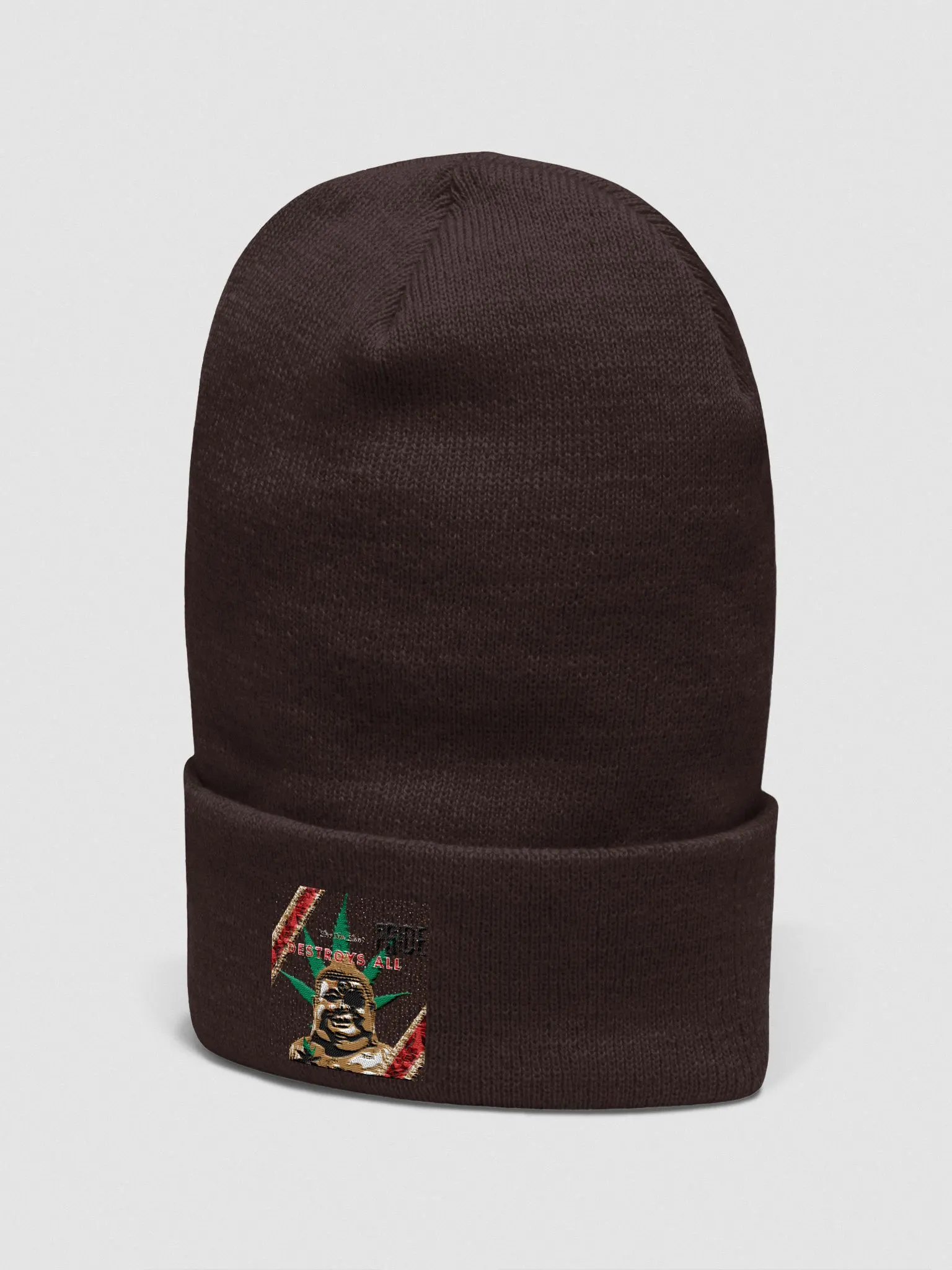 Enlightenment Cuffed Beanie product image (9)