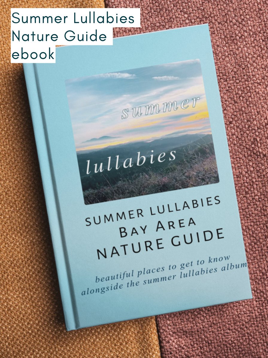 summer lullabies - bundle #3 product image (8)