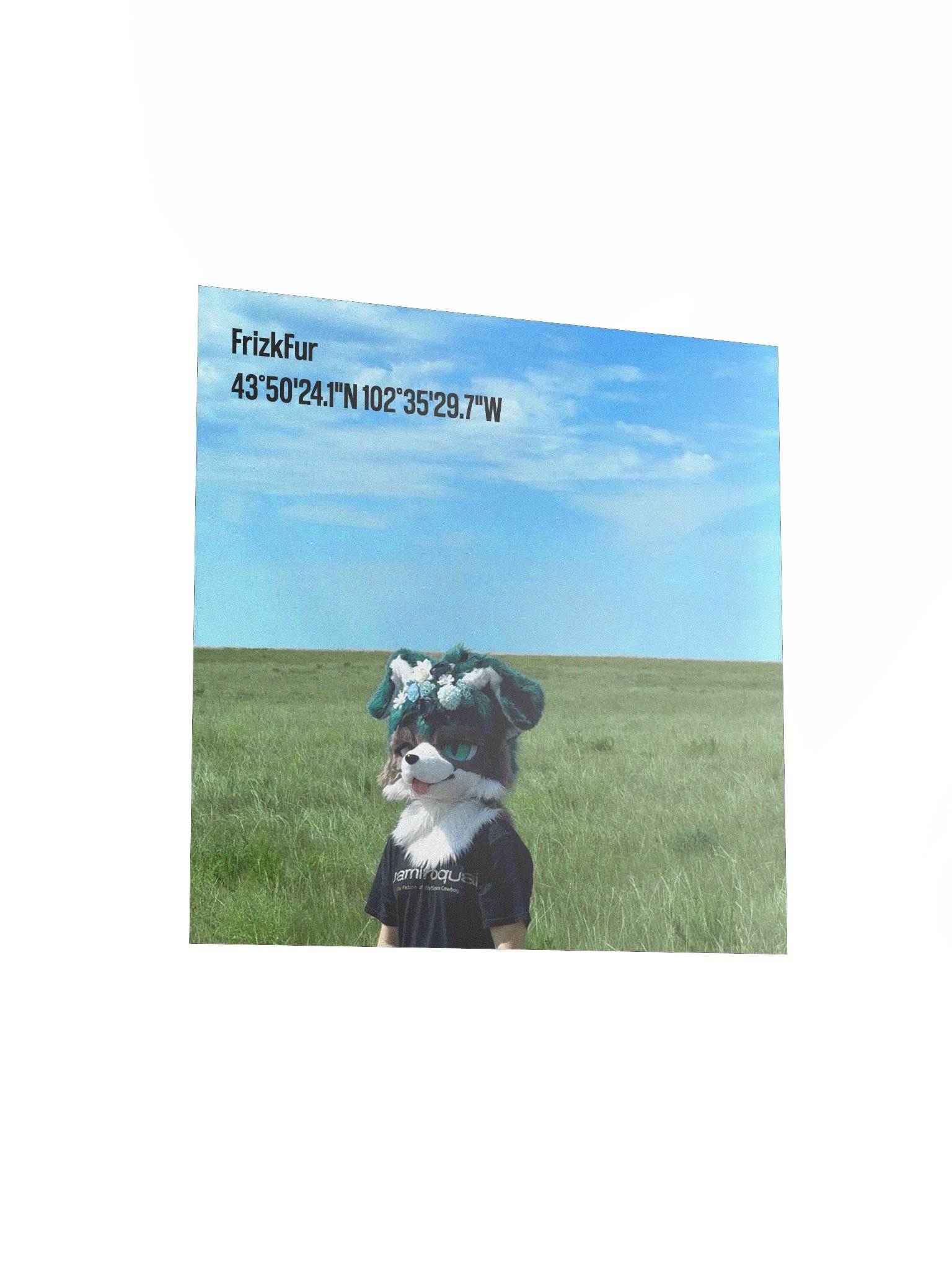 Scenic Frizk product image (3)