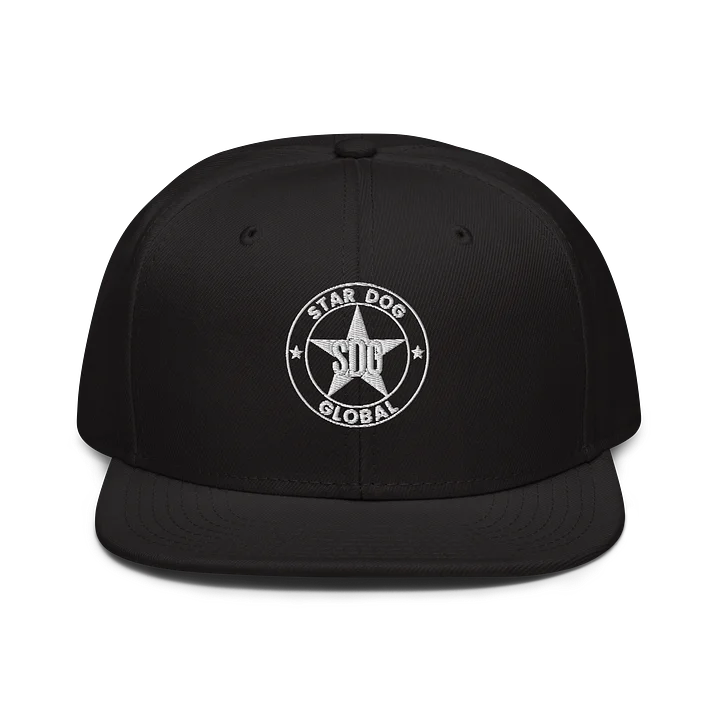 Otto Pixel Emblem Snapback product image (1)