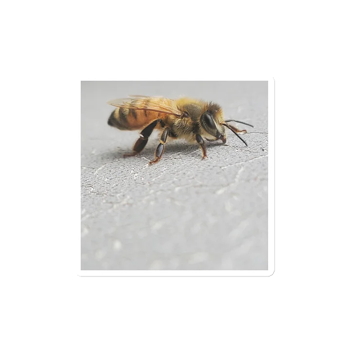 Busy Bee Magnet product image (1)