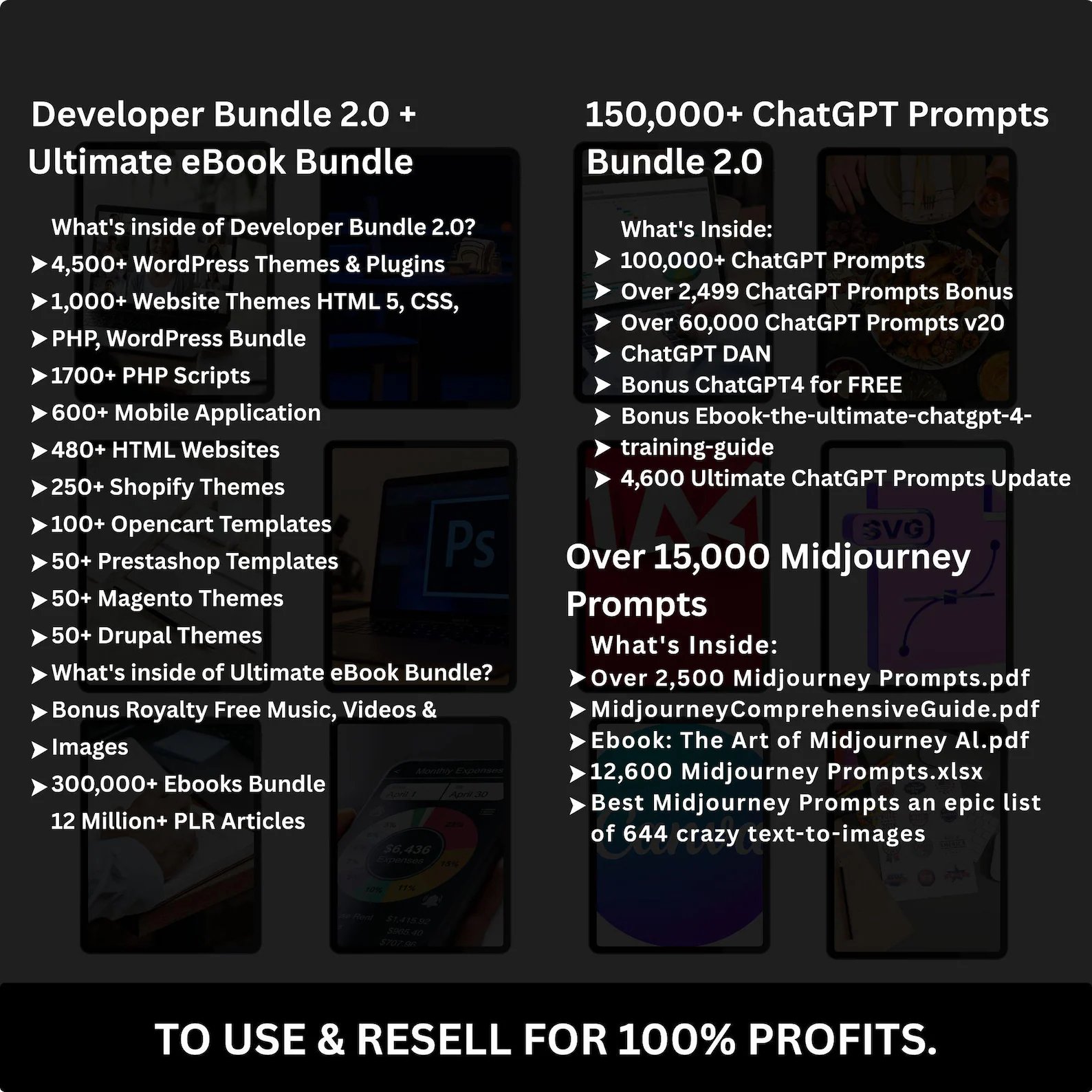 85 Million+ Digital Assets Vault product image (6)
