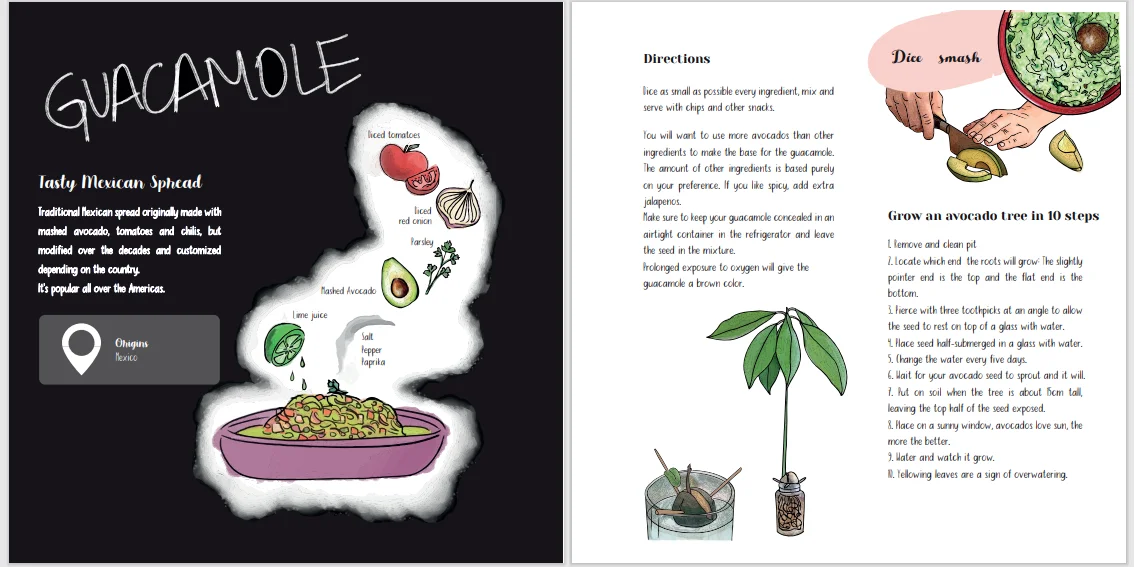 Latin-ish E-BOOK, An illustrated Latin American Cookbook product image (6)