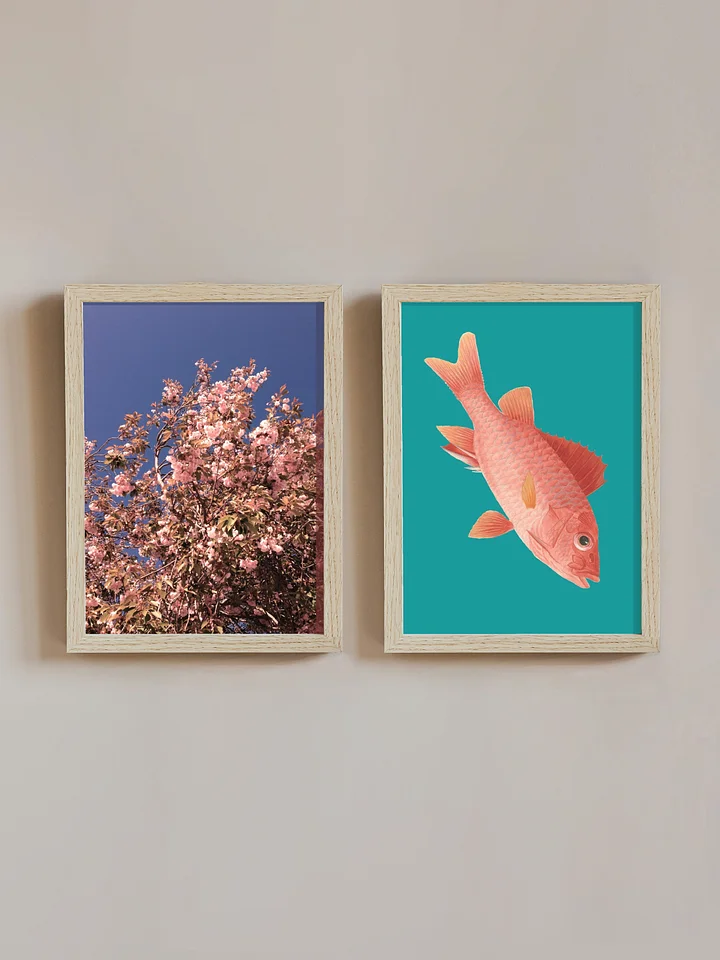 Cherry blossom and pink fish product image (1)