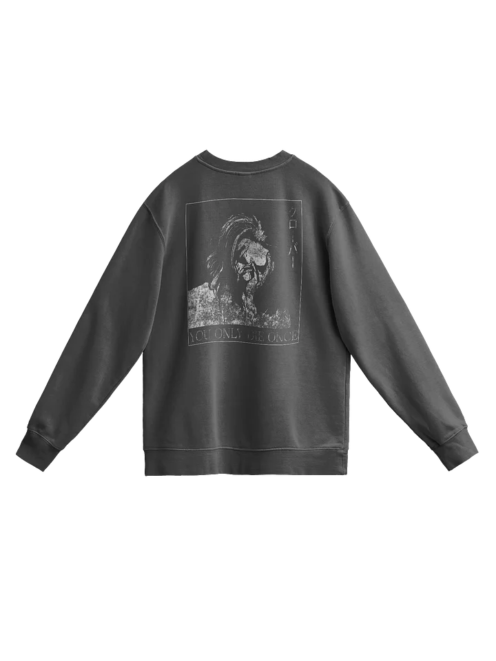 YOU ONLY DIE ONCE - Sweater product image (2)