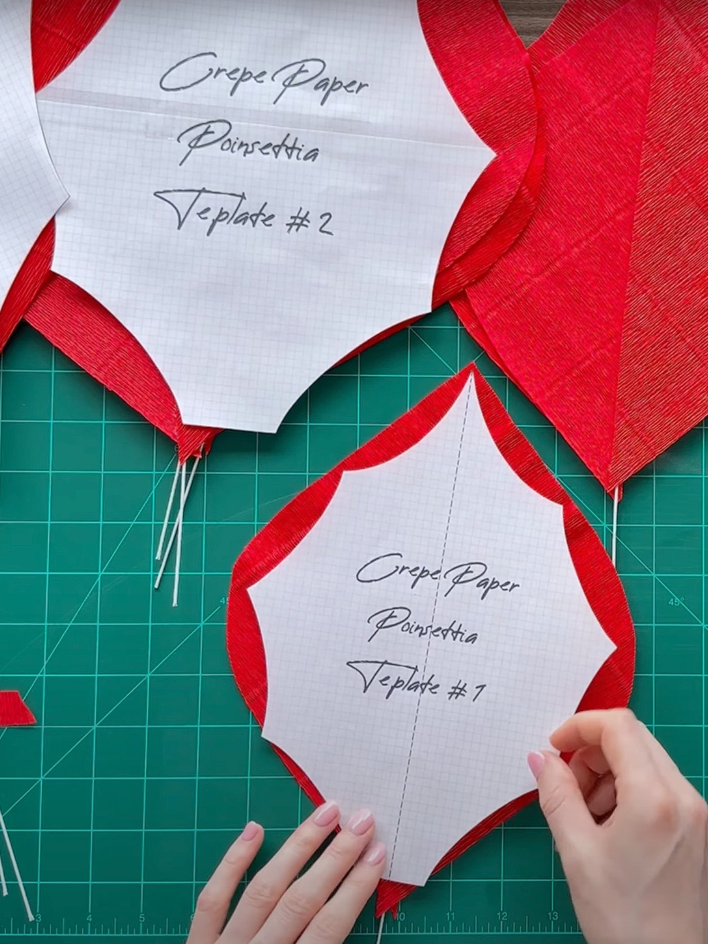DIY Giant Paper Poinsettia: Templates from Video Tutorial & Materials Checklist product image (2)