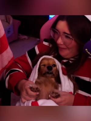 she's just a baby 🥺 #dachshund #dog #dogsoftiktok #cutedog #fyp #pea